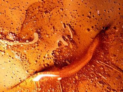 miód na stres jaki miód na nerwy wybrać porady