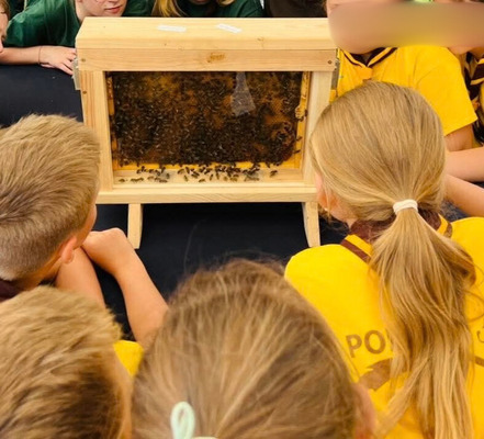 Ca0e9cb9 3b83 4a59 9609 5079d0ec909a