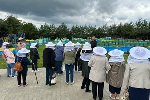 Fb img 1768909799338