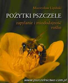 Pożytki pszczele - Lipiński Mieczysław
