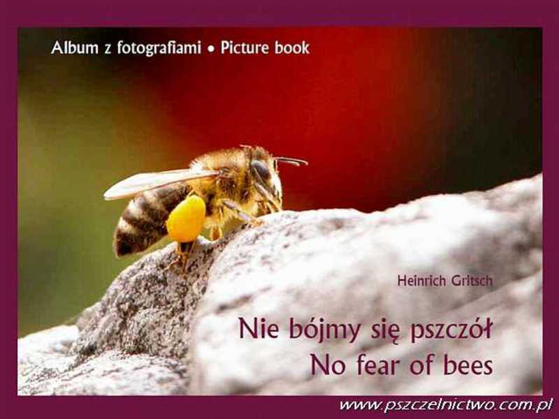 Nie bójmy się pszczół