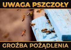Tablica ostrzegawcza duża - pszczoły wylatujące z ula