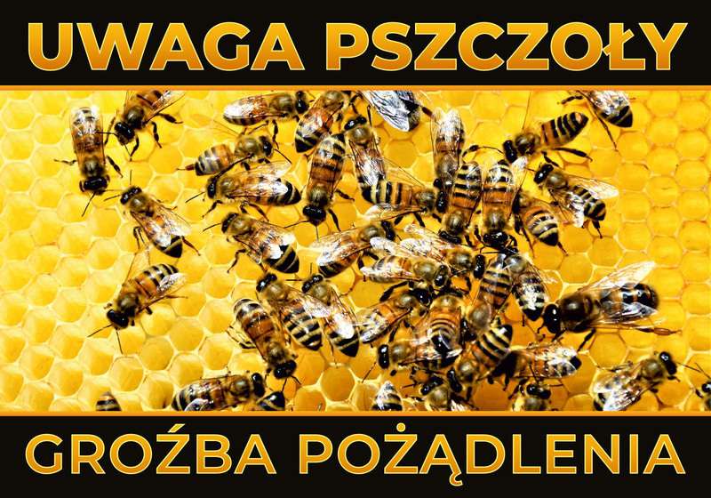 Tablica ostrzegawcza mała Pszczoły na plastrze