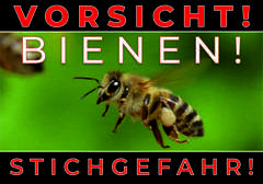 Tablica ostrzegawcza duża niem. z wizerunkiem pszczoły na zielonym tle