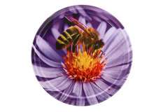 Nakrętka duża FI82/6 Pszczoła na fioletowym hiacyncie - 50 szt opakowanie
