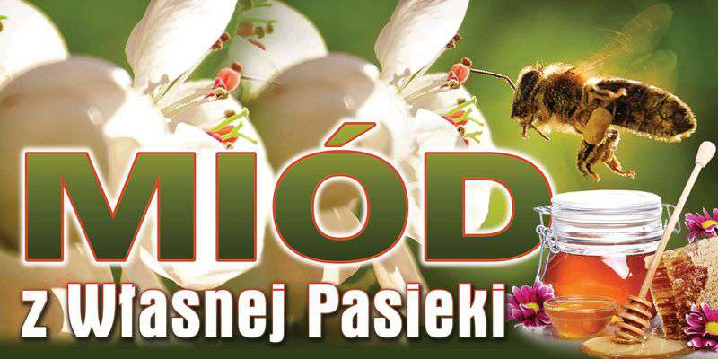 Baner reklamowy zielony z pszczołą i kwiatkami 2x1m