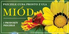 Baner reklamowy BR13 2x1 - Miód i produkty pszczele- zielony