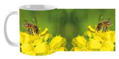 Kubek ceramiczny 330ml druk Pszczoła na rzepaku