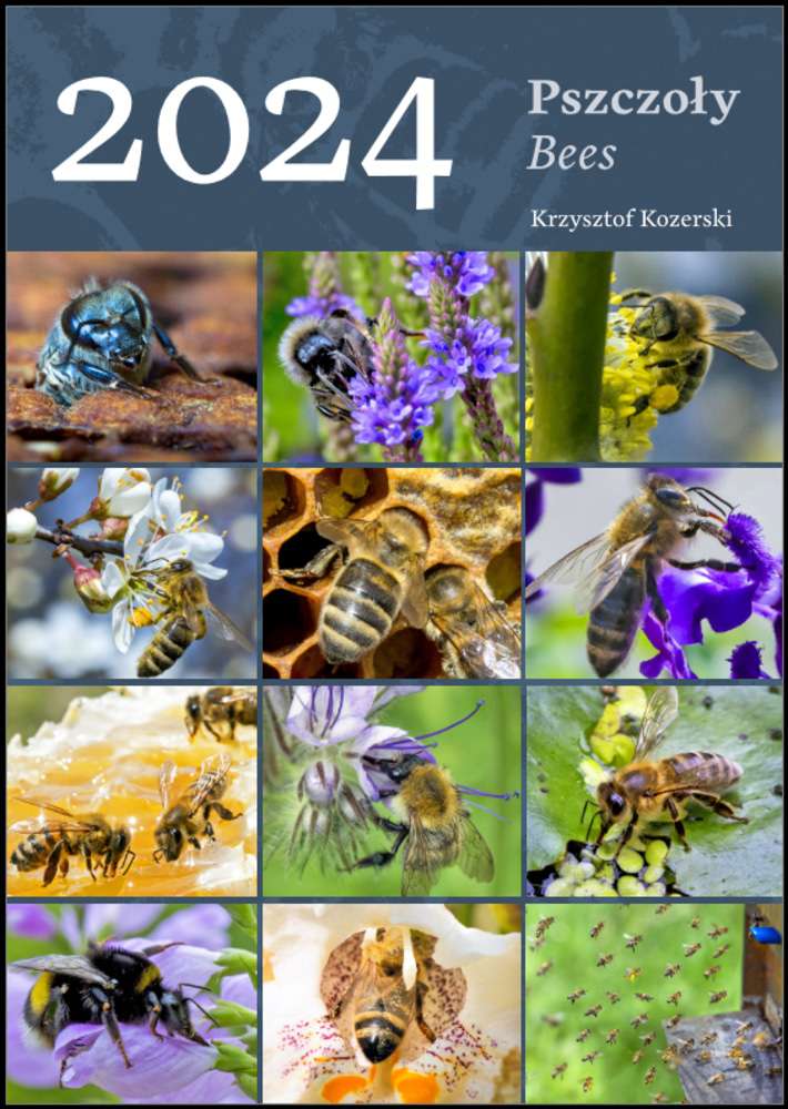 Kalendarz ścienny pszczelarski 2024