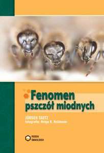 Fenomen pszczół miodnych- 