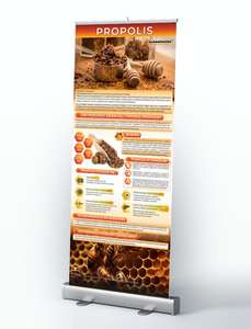 Roll-up edukacyjny 85x200cm PROPOLIS