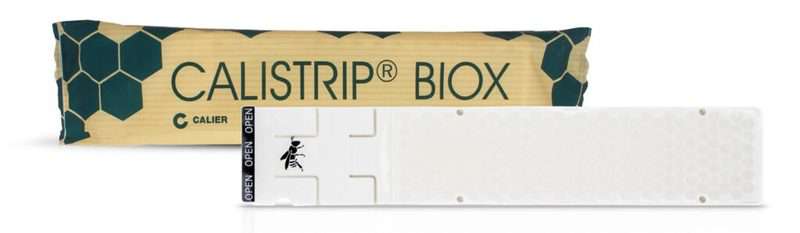 CALISTRIP® BIOX - 10 pasków kwas szczawiowy
