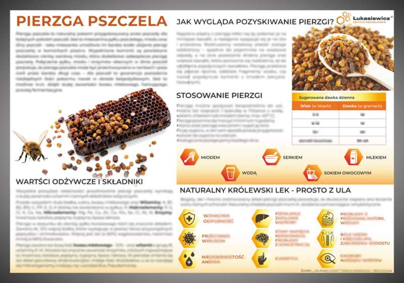 Tablica edukacyjna 60x42cm -PIERZGA PSZCZELA