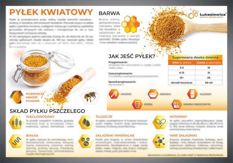 Tablica edukacyjna 60x42cm- PYŁEK KWIATOWY