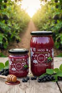 Miód z czarną porzeczką 0,5kg