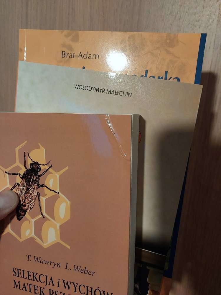 Książka Selekcja i wychów matek pszczelich Książka Selekcja i wychów matek pszczelich