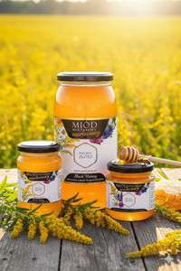 Miód Nawłociowy 1,05 kg – Pszczele Złoto Łukasiewicz® | "Polski Manuka" z Doliny Myśli i Warty