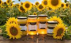 Miód Słonecznikowy 250g – Pszczele Złoto Łukasiewicz® | Polski Zbiór 2025