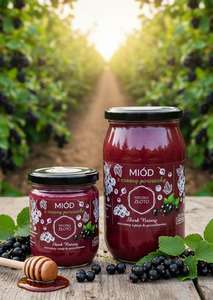 Miód z czarną porzeczką 500g Pszczele Złoto Łukasiewicz®