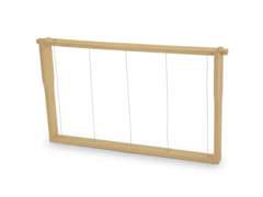 Ramchen DNM hoffmann