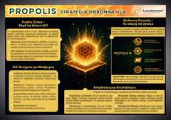 Tablica edukacyjna 60x42cm- PROPOLIS (KIT PSZCZELI)