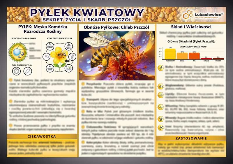 Tablica edukacyjna 60x42cm- PYŁEK KWIATOWY