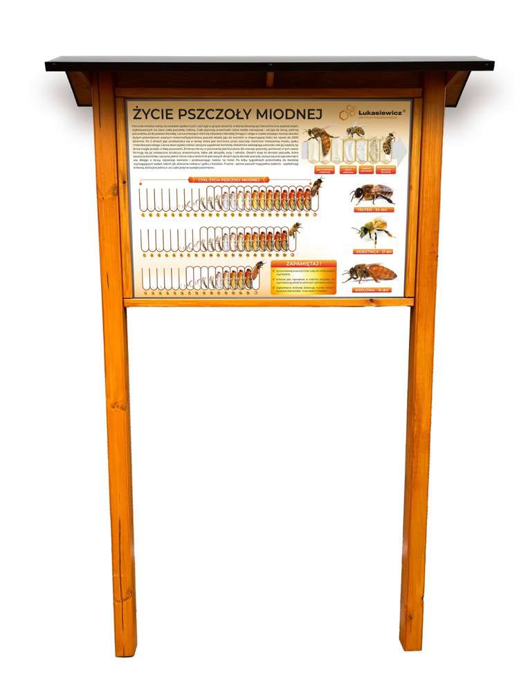 Tablica Edukacyjna: ZYCIE PSZCZOŁY MIODNEJ w oprawie drewnianej z kotwami i daszkiem