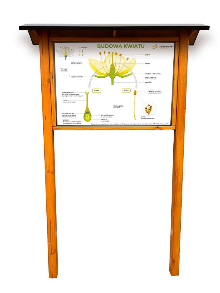 Tablica Edukacyjna: BUDOWA KWIATU w oprawie drewnianej z kotwami i daszkiem
