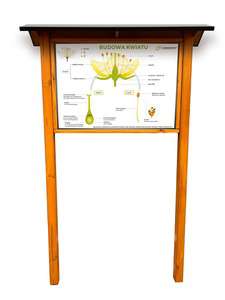 Tablica Edukacyjna: BUDOWA KWIATU w oprawie drewnianej z kotwami i daszkiem