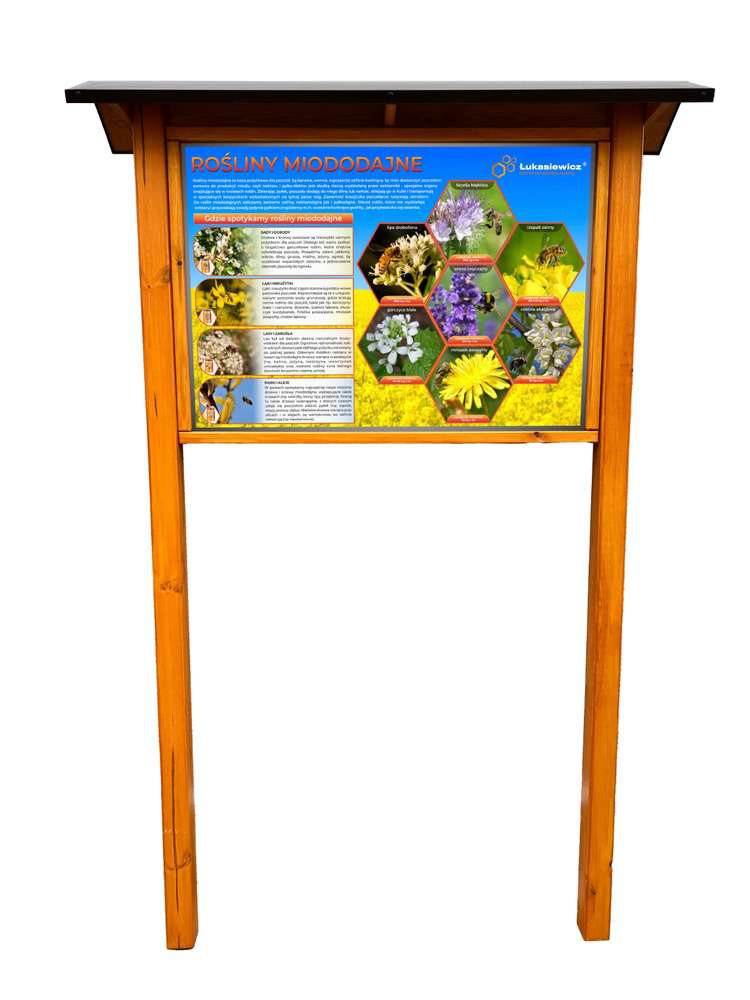 Tablica edukacyjna ROŚLINY MIODODAJNE HEXAGONY w oprawie drewnianej z kotwami i daszkiem