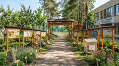 Tablica edukacyjna PSZCZOŁA MIODNA w oprawie drewnianej z kotwami i daszkiem