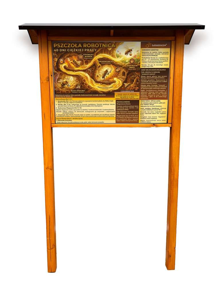 Tablica edukacyjna ROBOTNICA w oprawie drewnianej z kotwami i daszkiem