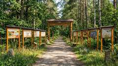 Tablica edukacyjna TRUTEŃ w obramowaniu drewnianym z kotwami i daszkiem