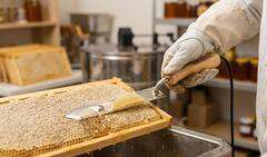 Nóż do odsklepiania PIERCE USA