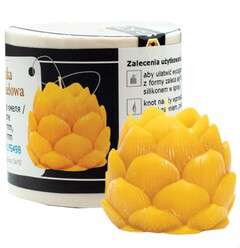 Forma silikonowa SZYSZKA CHMIELOWA