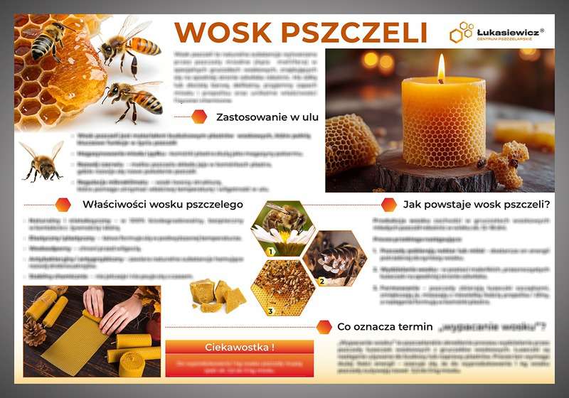 Tablica edukacyjna 60x42cm WOSK PSZCZELI 