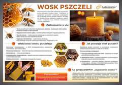 Tablica edukacyjna 60x42cm WOSK PSZCZELI 