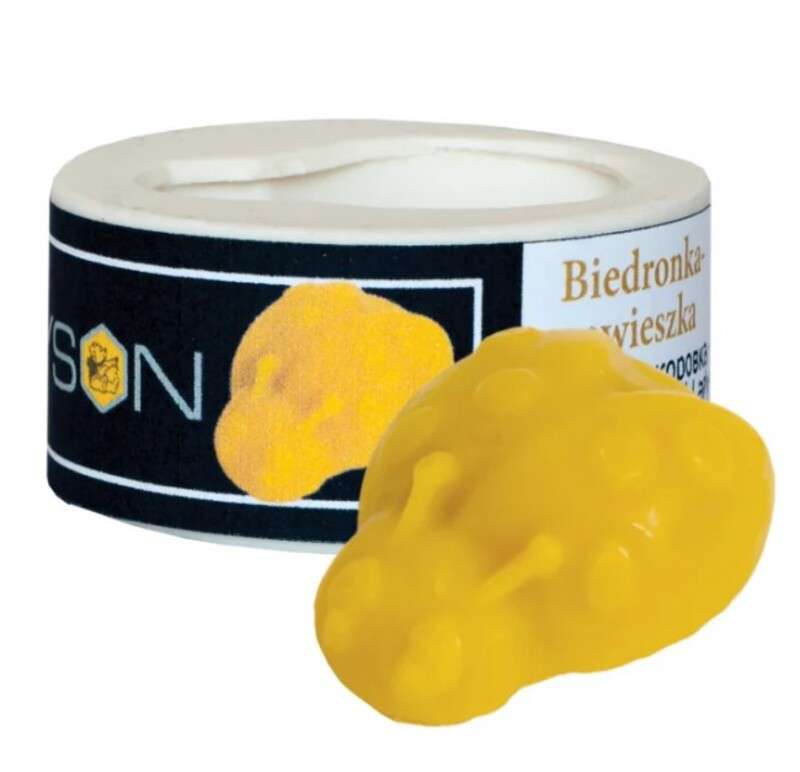 Forma silikonowa BIEDRONKA - zawieszka