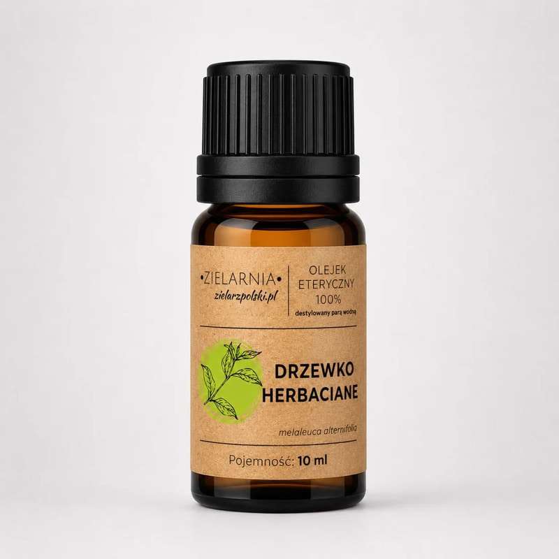 Olejek Drzewo herbaciane 10ml Zielarzposki