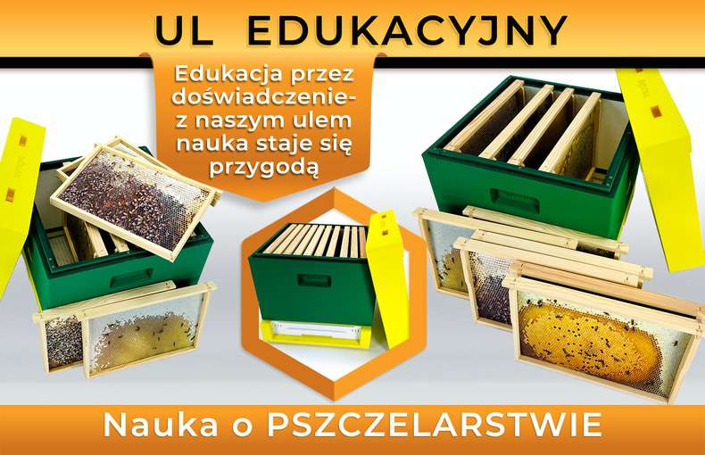 Ule edukacyjne